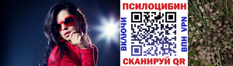 ОМГ ОМГ   наркошоп  Дно  Галлюциногенные грибы мухоморы 