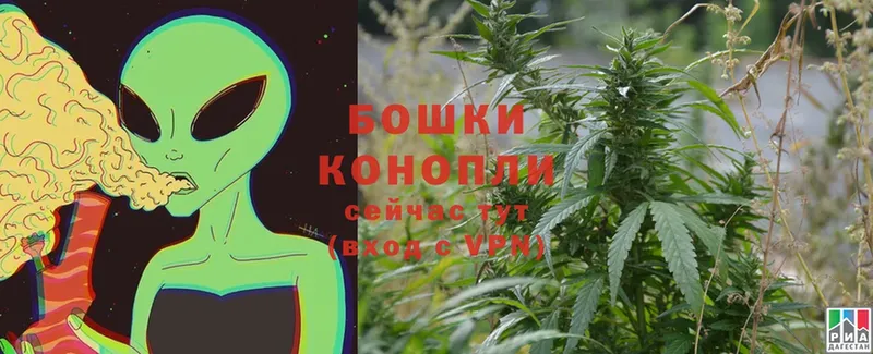 кракен ONION  Дно  Канабис White Widow  купить  цена 